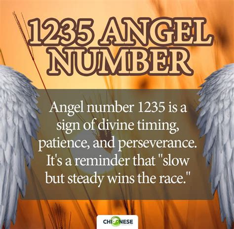 1235 angel number meaning|1235 Angel Number: What Does It Mean and How to Interpret It